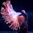 BWW Review: Celebrating Flamenco's Present and Future at the 2018 NEW YORK FLAMENCO…