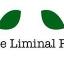 The Liminal Playhouse Presents SEX WITH STRANGERS By Laura Eason