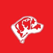 Great Picture Show Announces Partnership with Dame Dash Studios