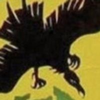 BWW Review: SUDDENLY LAST SUMMER at Town Players Of Newtown Photo