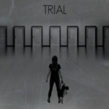 Lori Petty Helmed TRIAL Comes to the Tilles Center to Benefit WellLife Network