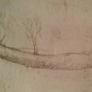 Drawing Upon an Extraordinary Collection at More Than a Library