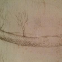 Drawing Upon an Extraordinary Collection at More Than a Library