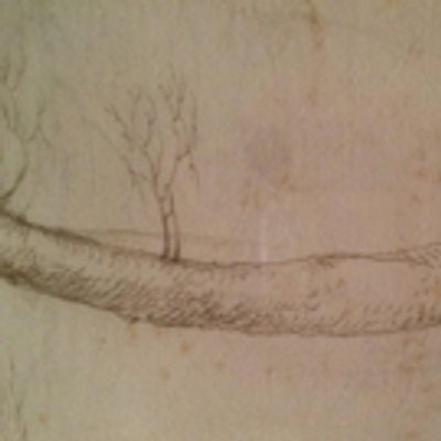Drawing Upon an Extraordinary Collection at More Than a Library