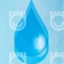 Signed Performance of THE MIRACLE WORKER Announced at Florida Rep!