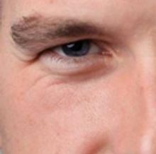 Full Dates Announced For Dan Snow's AN EVENING WITH THE HISTORY GUY Tour