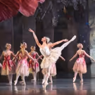 Birmingham Royal Ballet Announces Principal Casting for THE NUTCRACKER