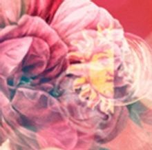 Cast Announced For THE UNTRANSLATABLE SECRETS OF NIKKI CORONA At Geffen Playhouse