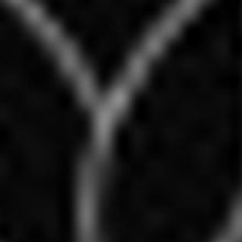 Griffin Theatre Company Receives Commonwealth Government Funding