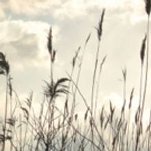 Summer Stages: Jaime's Spring/Summer Picks!