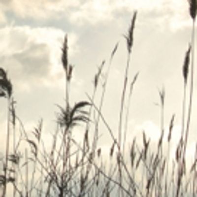 Summer Stages: Jaime's Spring/Summer Picks!