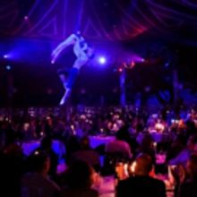 BWW Review: PALAZZO at Spiegeltent: REUBENLICIOUS - SO DELICIOUS!