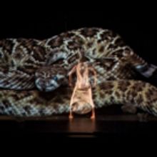 Border Crossing's ORIGINS Festival Features Live Ayahuasca Ceremony