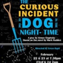 Some Theatre Company Brings THE CURIOUS INCIDENT OF THE DOG IN THE NIGHT-TIME to Main