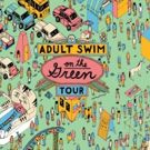 ADULT SWIM ON THE GREEN Delivers Summer Fun to Fans
