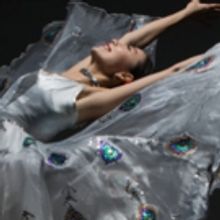 Nai-Ni Chen Dance Company To Celebrate The Year Of The Pig at NJPAC 02/02-03, 2019