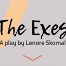Lenore Skomal's New Play THE EXES Takes the Stage For Industry Reading