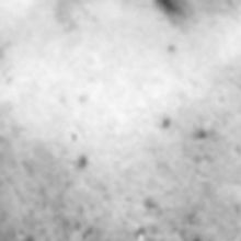 Playwright j. Snodgrass Talks About the Buffalo Quickies 2018