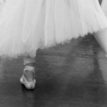 Five New Recruits And A Medley Of Promotions Sets The Scene For The Australian Ballet