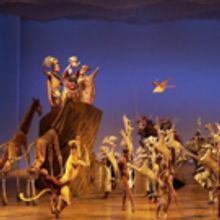 BWW Review: THE LION KING at Dr. Phillips Center For The Performing Arts