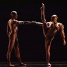 BWW Review: COMPLEXIONS Redefines Rhythm at Joyce Residency
