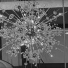 VIDEO: GREAT PERFORMANCES: THE OPERA HOUSE Reveals the Backstory of the Famous…