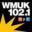 Theatre Kalamazoo's Free Festival For Local Playwrights Returns