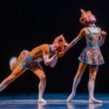 BWW Review: THE CUNNING LITTLE VIXEN/THE TWO PIGEONS, Royal Opera House