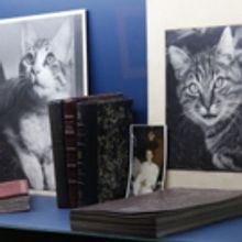 Una Aproximación íntima A La Vida De Remedios Varo Se Instalará En El MAM