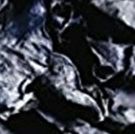 Gary Becks New Poetry Collection 'Blossoms Of Decay' Released