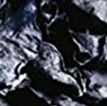 Gary Becks New Poetry Collection 'Blossoms Of Decay' Released