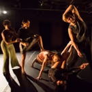 BodyStories: Teresa Fellion Dance Presents The World Premiere Of ROSE WALK GREEN ICE…
