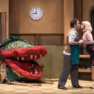 LITTLE SHOP OF HORRORS Opens Friday At The Kravis Center's Rinker Playhouse
