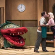 LITTLE SHOP OF HORRORS Opens Friday At The Kravis Center's Rinker Playhouse