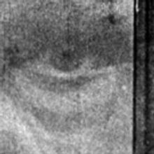 BWW Review: VAMPYR at the Ace Hotel Theatre