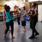 Have A Roaring Good Time At Orlando Shakes' THE JUNGLE BOOK