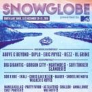 MTV Acquires Snowglobe Music Festival
