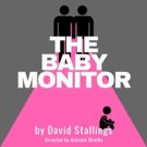 Crucial Play About Same-Sex Parenting THE BABY MONITOR To Receive Workshop At The…