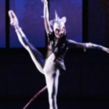 BWW Review: THE NUTCRACKER at Kinneksbond