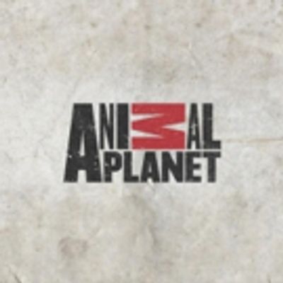 Discovery Communications Expands Animal Planet With New Global Leadership