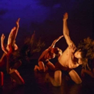 BWW Review: Red Sky's Insanely Physical BACKBONE Will Leave You Breathless