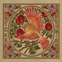 The Krickets To Release Sophomore Album REDBIRD 10/26