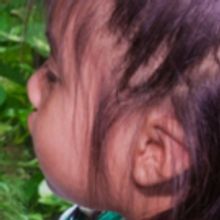 Live Butterflies Return To American Museum of Natural History This Fall