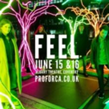 The Albany Hosts Weekend Run of FEEL