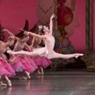 Photo Flash: Sneak Peek at New York City Ballet's THE NUTCRACKER