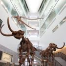U-M to Unveil New Home for Museum of Natural History