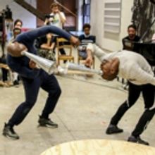 Centre for the Less Good Idea Shares Lineup for Season 4