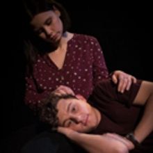 BWW Review: THE SECRET LIFE OF HUMANS (MÄNNISKANS HEMLIGHET) at Playhouse Teater