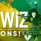 Theatre Under The Stars Releases Hilarious Casting Breakdowns for THE WIZ!