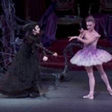VIDEO: Anatomy of a Dance: Sara Mearns on The Sleeping Beauty
